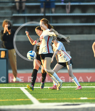 ©CGP 091525 Daniel Boone @ West Ridge 03446