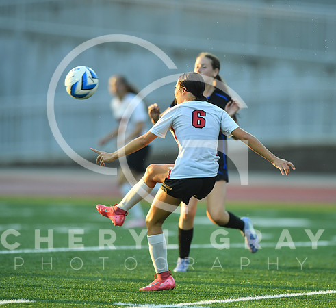 ©CGP 091525 Daniel Boone @ West Ridge 03470