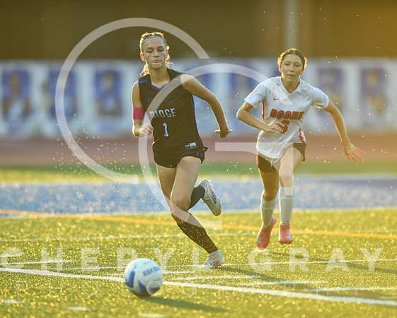 ©CGP 091525 Daniel Boone @ West Ridge 03530