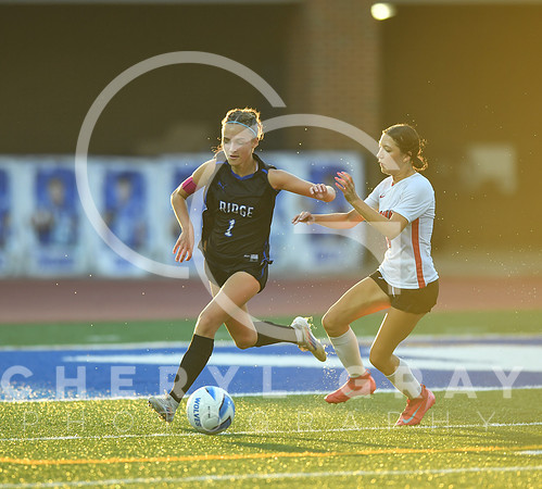 ©CGP 091525 Daniel Boone @ West Ridge 03518
