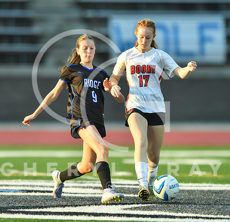©CGP 091525 Daniel Boone @ West Ridge 03413