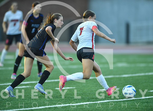 ©CGP 091525 Daniel Boone @ West Ridge 03602