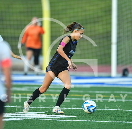 ©CGP 091525 Daniel Boone @ West Ridge 03654