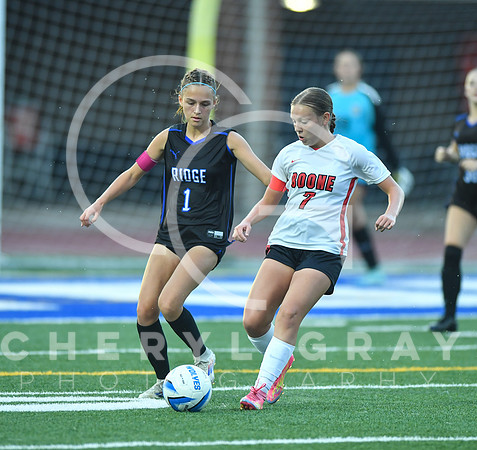 ©CGP 091525 Daniel Boone @ West Ridge 03689