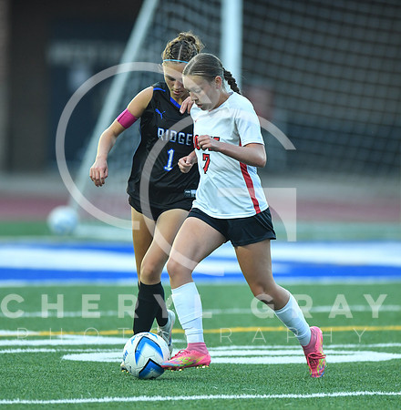 ©CGP 091525 Daniel Boone @ West Ridge 03698