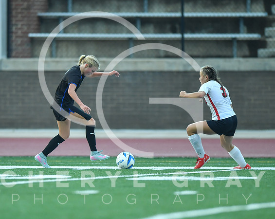©CGP 091525 Daniel Boone @ West Ridge 03708
