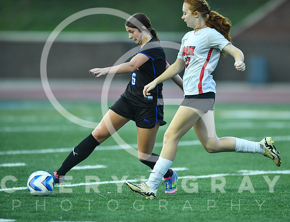 ©CGP 091525 Daniel Boone @ West Ridge 03765