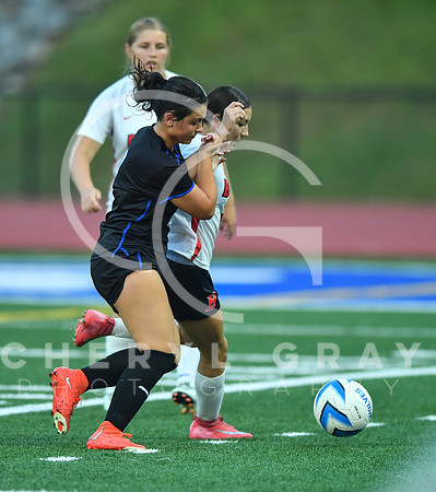 ©CGP 091525 Daniel Boone @ West Ridge 03780