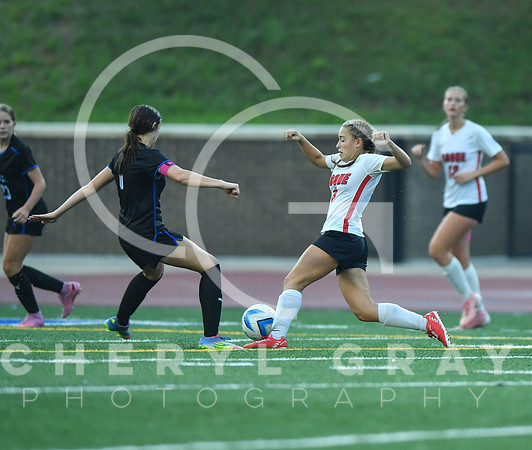 ©CGP 091525 Daniel Boone @ West Ridge 03797