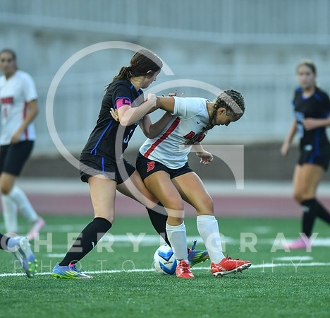 ©CGP 091525 Daniel Boone @ West Ridge 03830