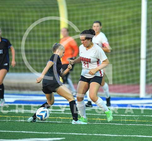 ©CGP 091525 Daniel Boone @ West Ridge 03641