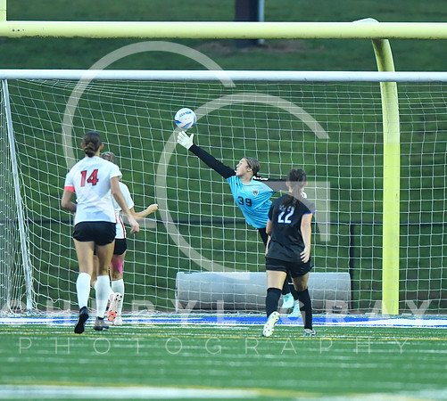 ©CGP 091525 Daniel Boone @ West Ridge 03936