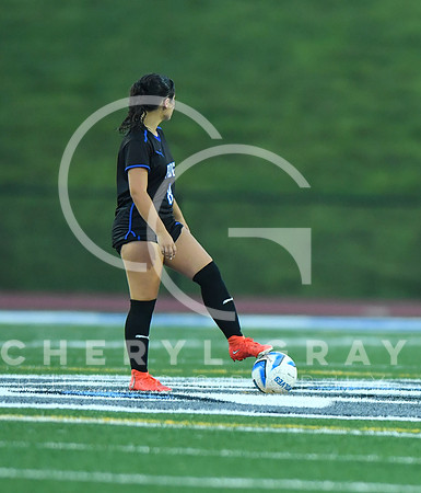 ©CGP 091525 Daniel Boone @ West Ridge 03951