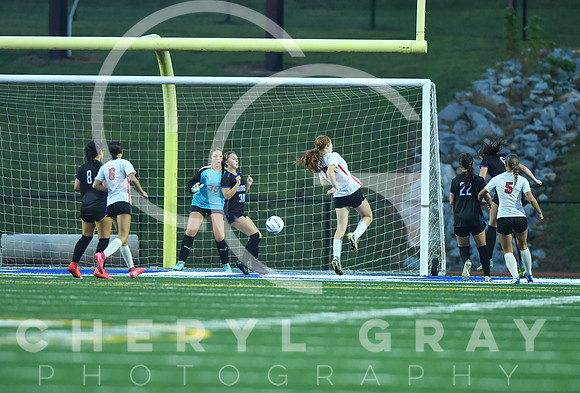 ©CGP 091525 Daniel Boone @ West Ridge 03999