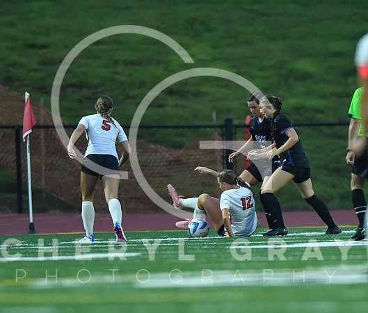 ©CGP 091525 Daniel Boone @ West Ridge 04090