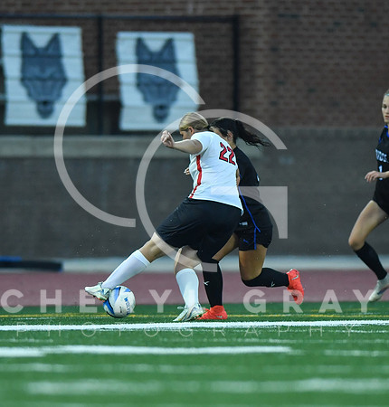 ©CGP 091525 Daniel Boone @ West Ridge 04020