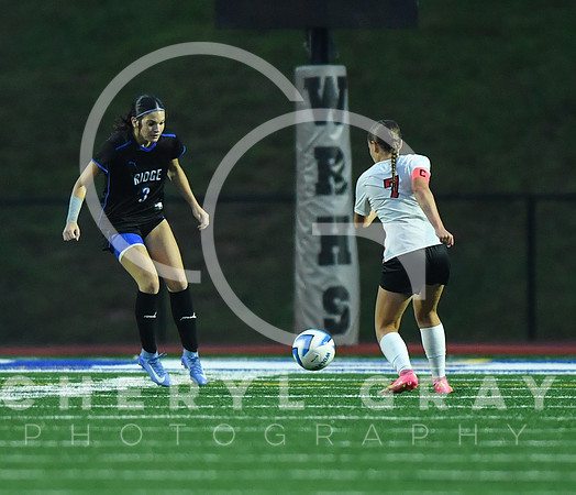 ©CGP 091525 Daniel Boone @ West Ridge 04332