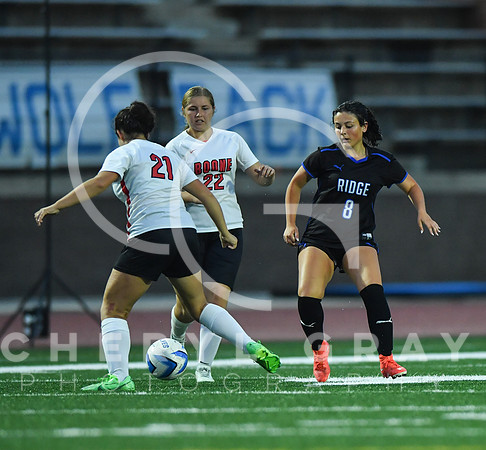 ©CGP 091525 Daniel Boone @ West Ridge 04317