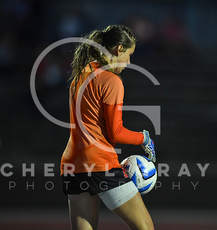 ©CGP 091525 Daniel Boone @ West Ridge 04513