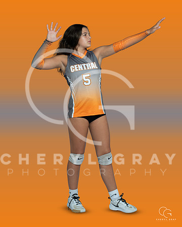 SCMS 5 copy
