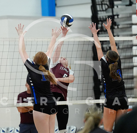 ©CGP 091825 TN High @ West Ridge 01877