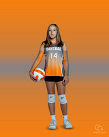 SCMS 10 copy
