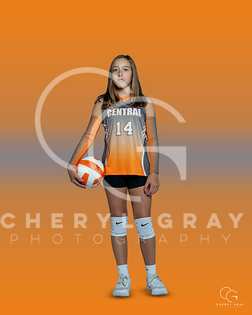 SCMS 10 copy