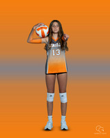 SCMS 11 copy