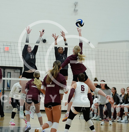 ©CGP 100625 DIST TN High vs Dobyns Bennett 07785