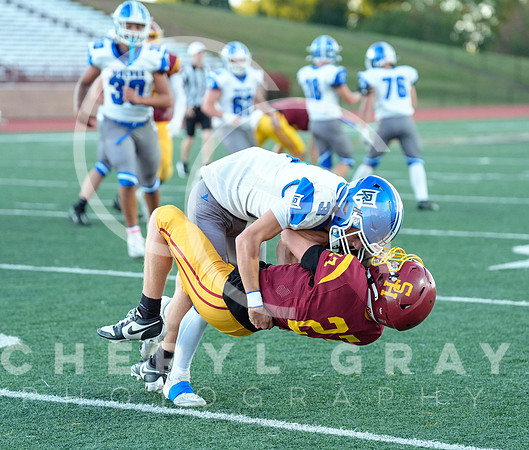 ©CGP 101325 JV West Ridge @ Science Hill 01588