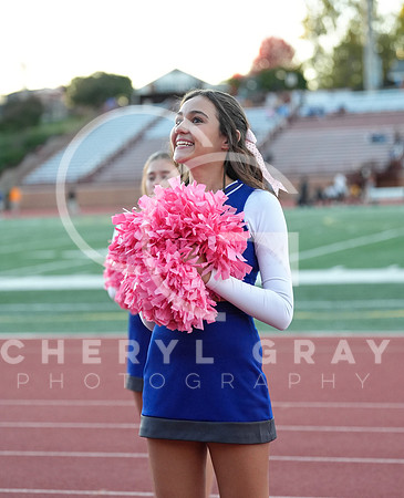 ©CGP 101325 JV West Ridge @ Science Hill 01839