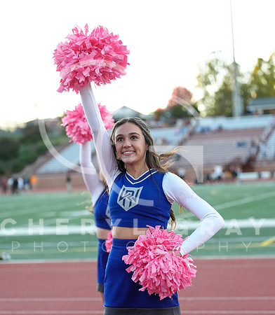 ©CGP 101325 JV West Ridge @ Science Hill 01837