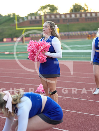 ©CGP 101325 JV West Ridge @ Science Hill 01970
