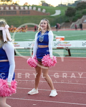 ©CGP 101325 JV West Ridge @ Science Hill 01986