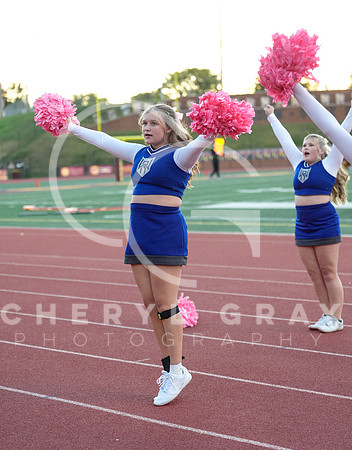 ©CGP 101325 JV West Ridge @ Science Hill 01977