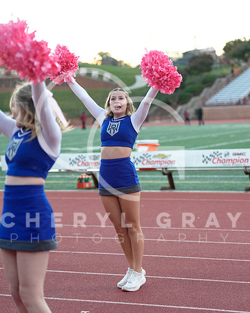 ©CGP 101325 JV West Ridge @ Science Hill 01989