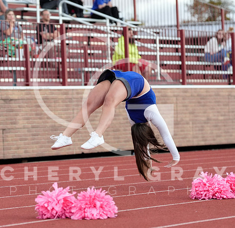 ©CGP 101325 JV West Ridge @ Science Hill 02144