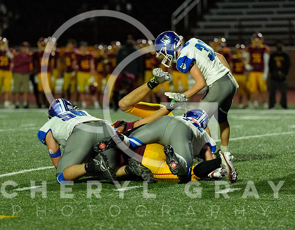 ©CGP 101325 JV West Ridge @ Science Hill 02549
