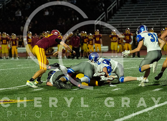 ©CGP 101325 JV West Ridge @ Science Hill 02538