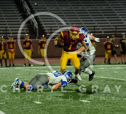 ©CGP 101325 JV West Ridge @ Science Hill 02685