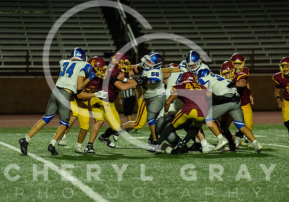 ©CGP 101325 JV West Ridge @ Science Hill 02993