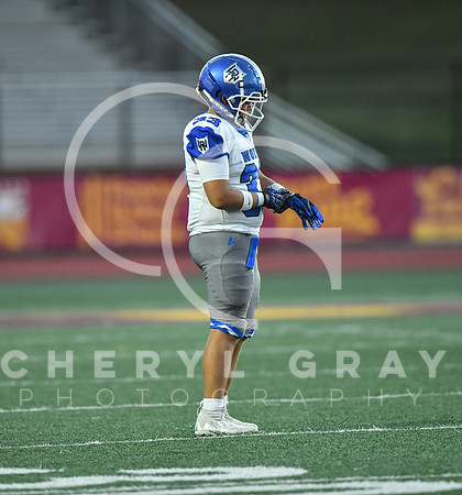 ©CGP 101325 JV West Ridge @ Science Hill 03271