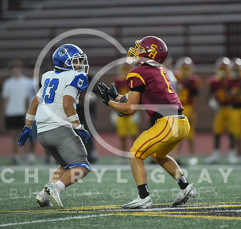 ©CGP 101325 JV West Ridge @ Science Hill 03335