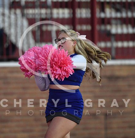 ©CGP 101325 JV West Ridge @ Science Hill 03364