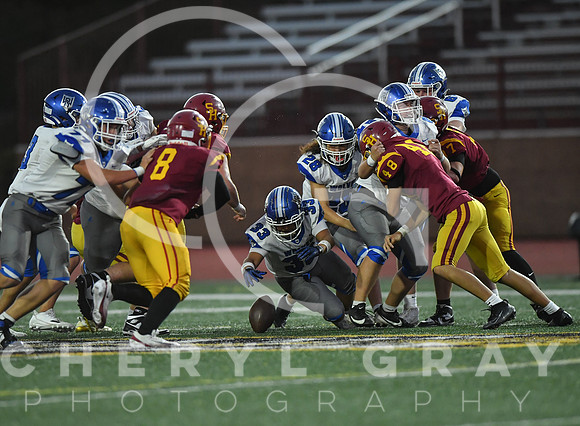 ©CGP 101325 JV West Ridge @ Science Hill 03464