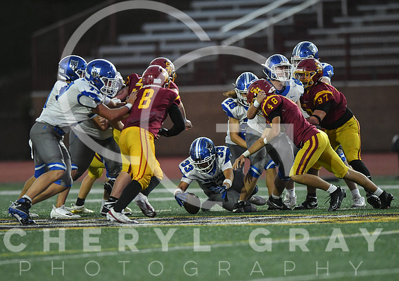 ©CGP 101325 JV West Ridge @ Science Hill 03465