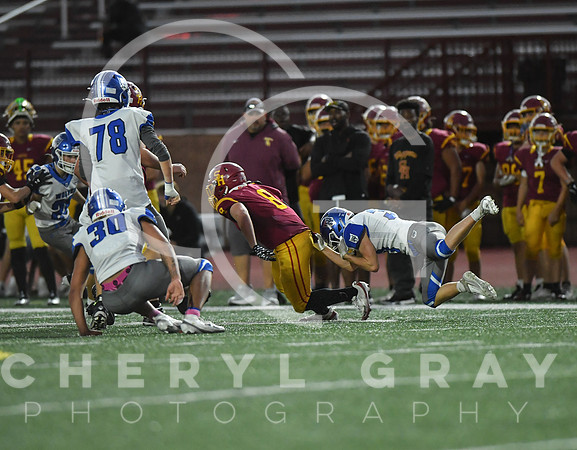 ©CGP 101325 JV West Ridge @ Science Hill 03521