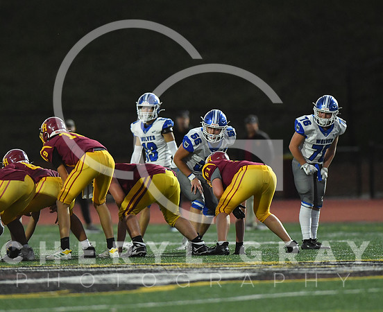 ©CGP 101325 JV West Ridge @ Science Hill 03586