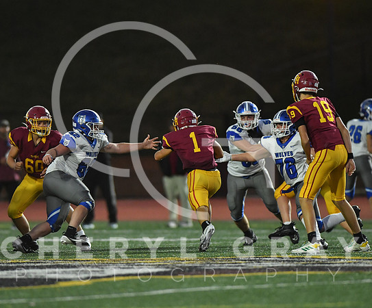 ©CGP 101325 JV West Ridge @ Science Hill 03608
