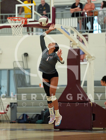 ©CGP 101425 REG Science Hill vs Dobyns Bennett 01226